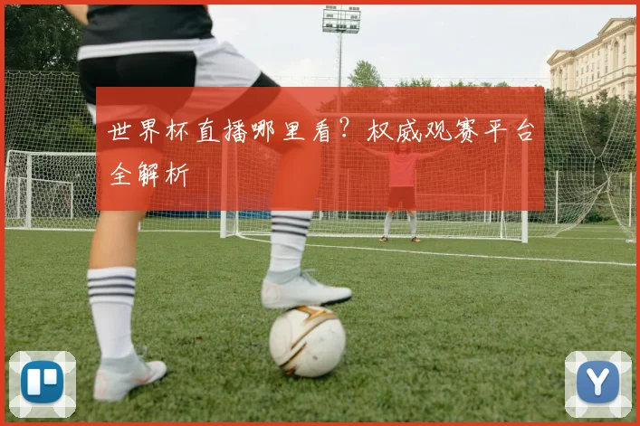 世界杯直播哪里看？权威观赛平台全解析