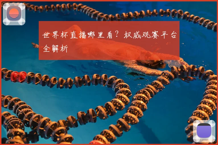 世界杯直播哪里看？权威观赛平台全解析